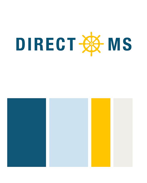 Direct-MS logo and brand colors